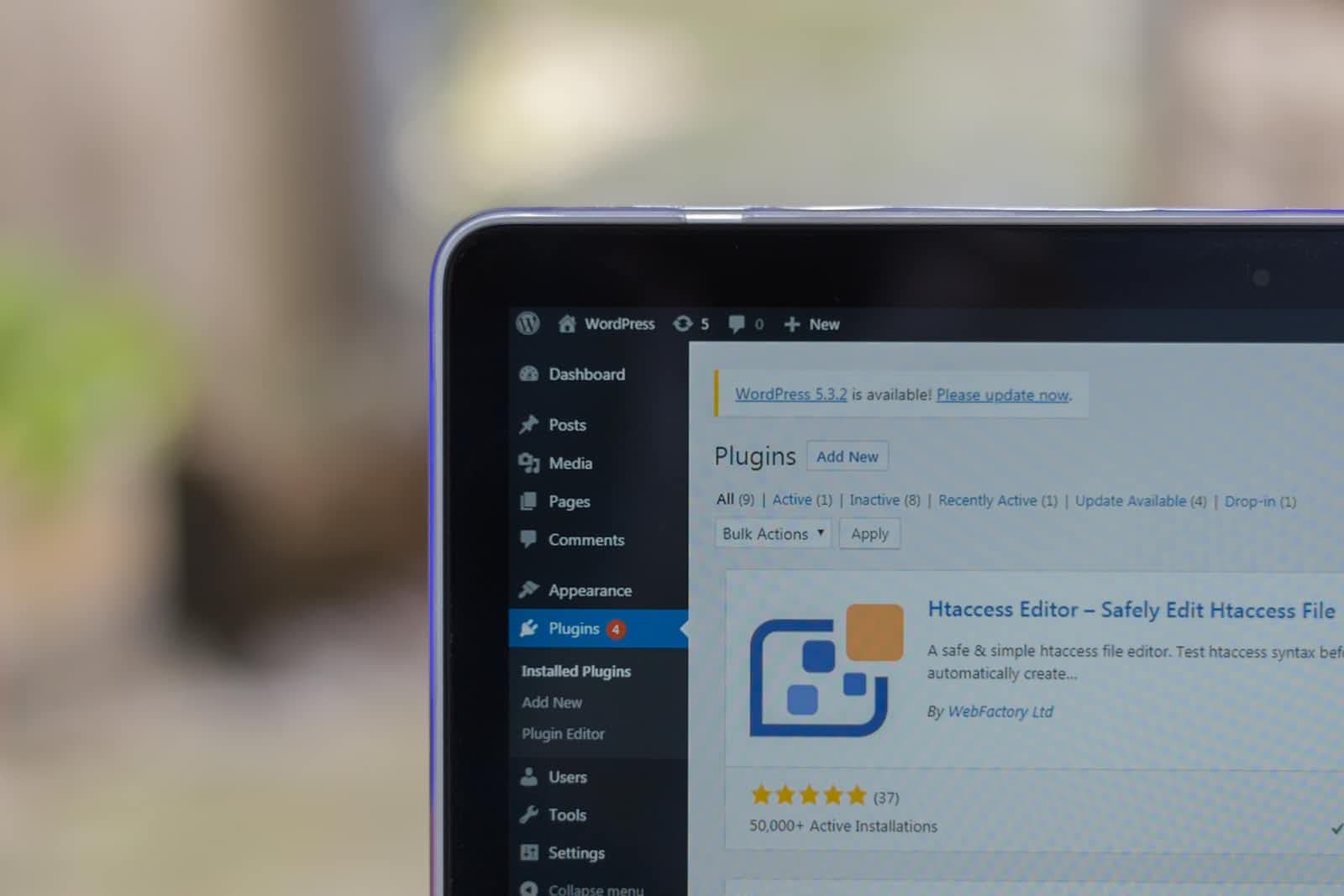 Setting up WordPress